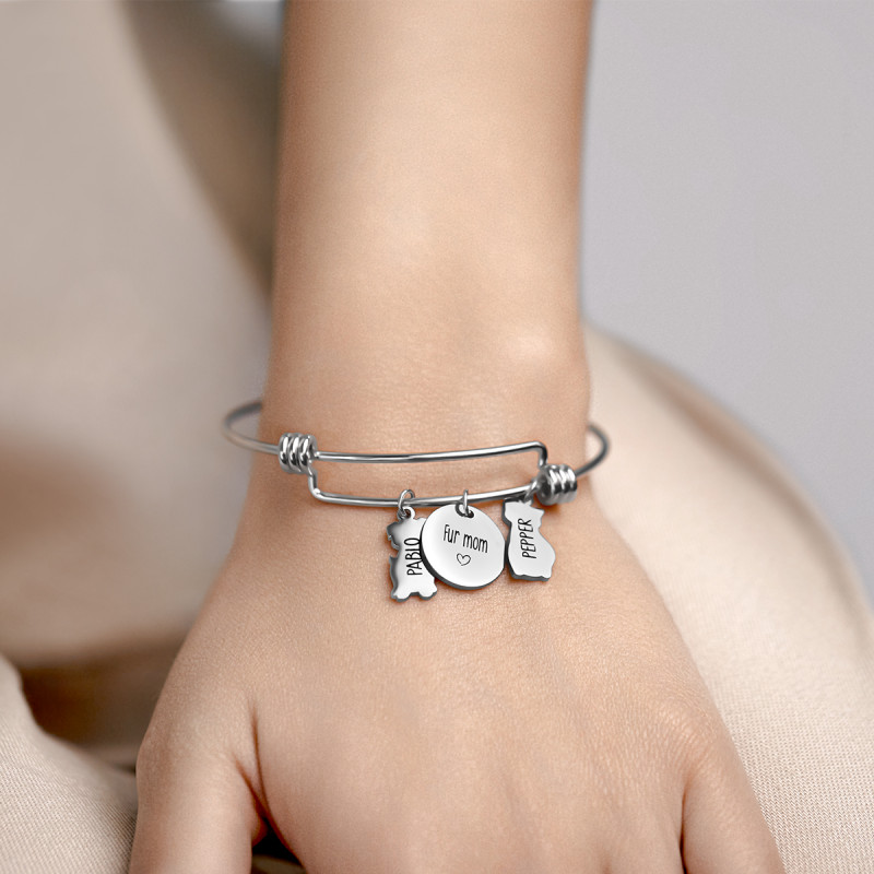 Personalised Engraved Dog and Cat Bracelet with Engraved Names