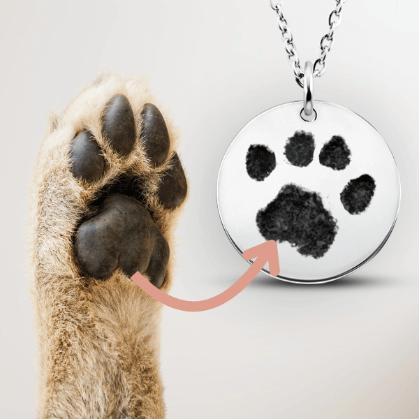 Paw Print