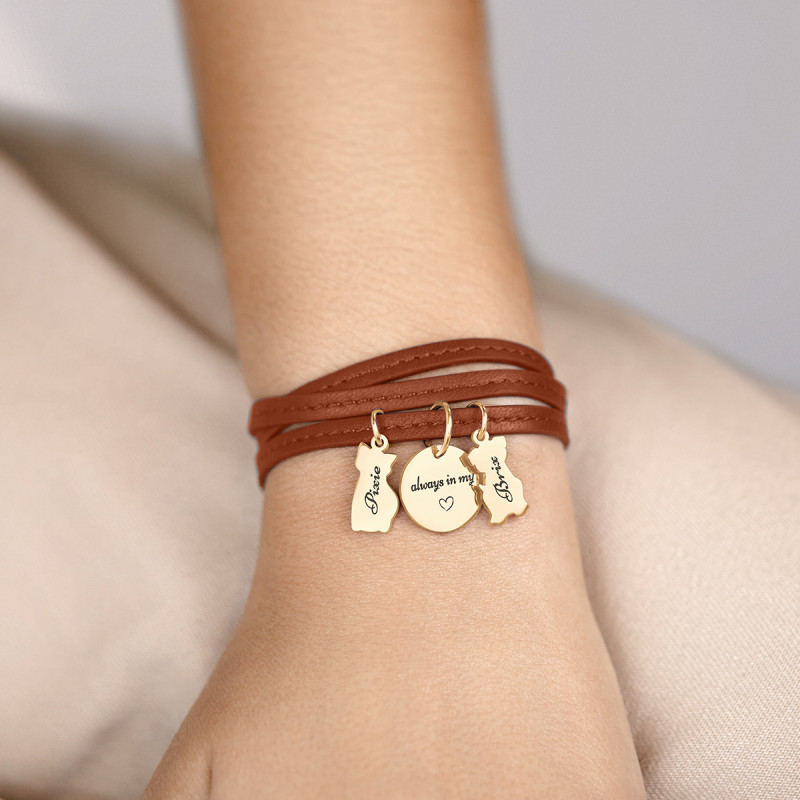 Personalised Dog and Cat Bracelet in Brown Leather - Gold - 62